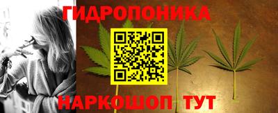 прущие грибы Первоуральск