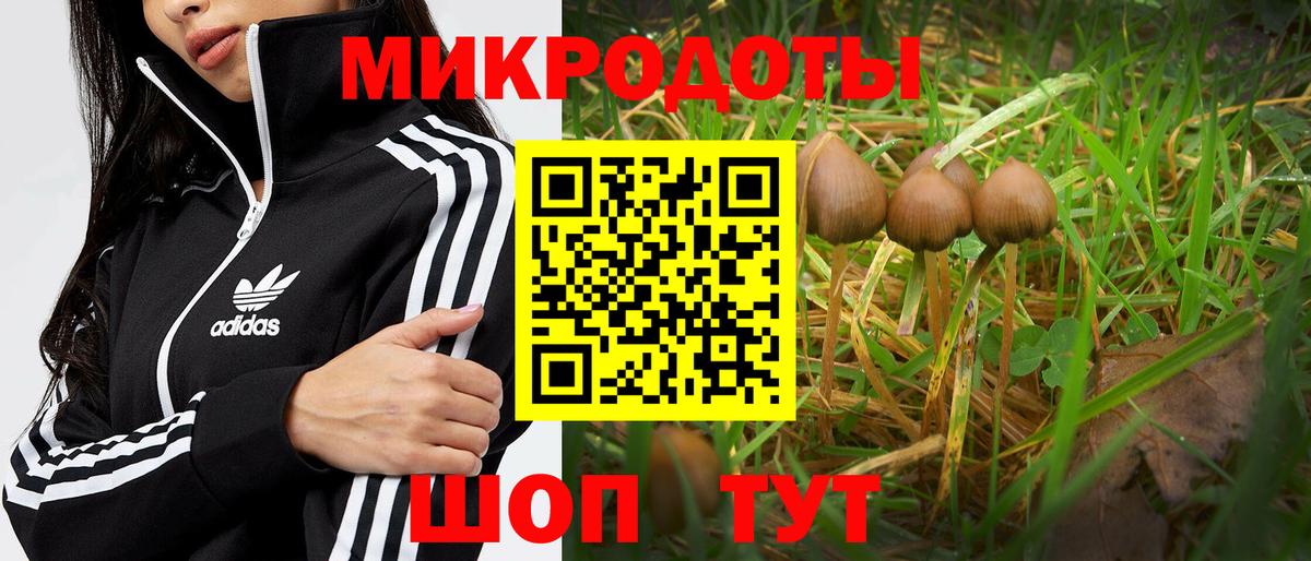 Псилоцибиновые грибы GOLDEN TEACHER Баксан