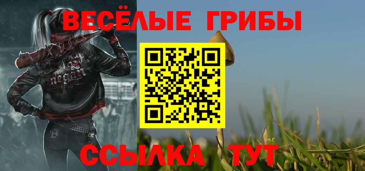Баксан  Галлюциногенные грибы ЛСД  Вход с VPN  Галлюциногенные грибы Cubensis 